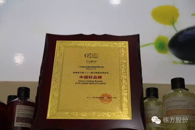 科技引領(lǐng)美麗▏棟方股份榮獲“中國好品牌獎”！